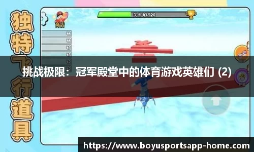 挑战极限：冠军殿堂中的体育游戏英雄们 (2)